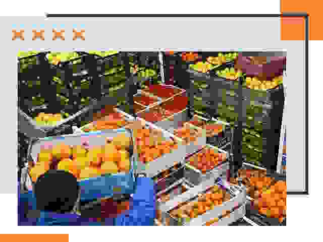 Перевозка скоропортящихся продуктов в Братске
